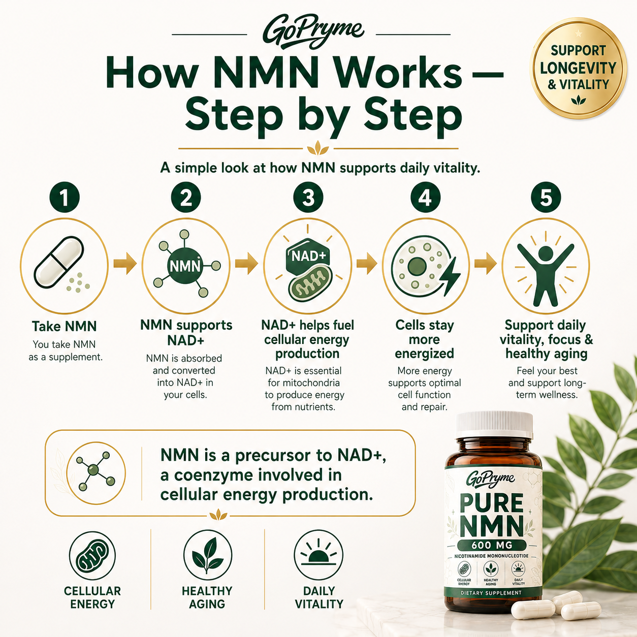 GOPRYME Pure NMN 600 mg